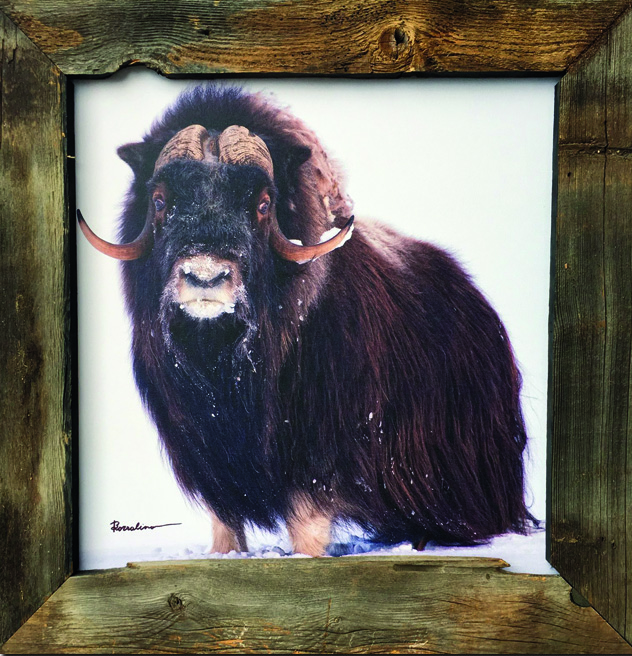 I Come to the Garden Alone