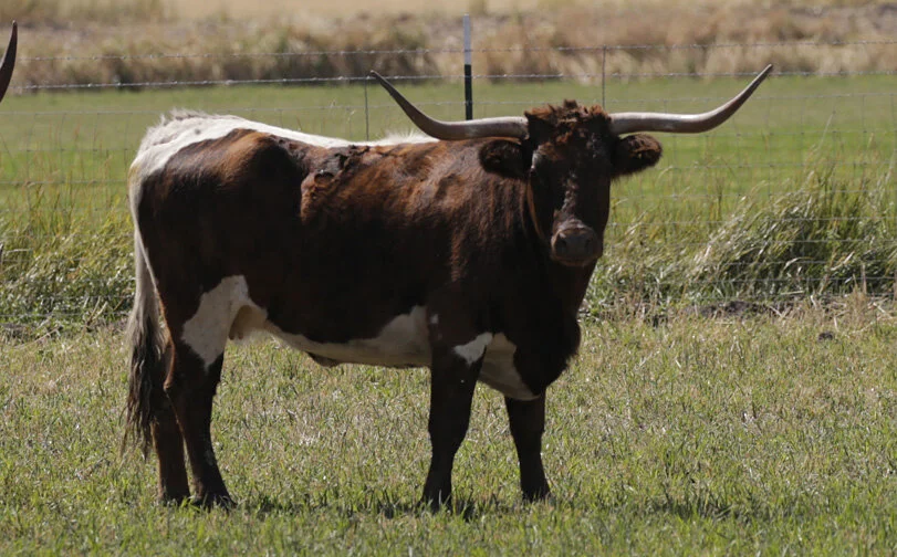 They Call Me By A Number