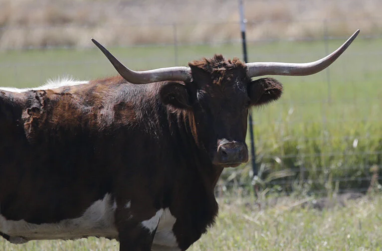 I Went To See Him Just Today