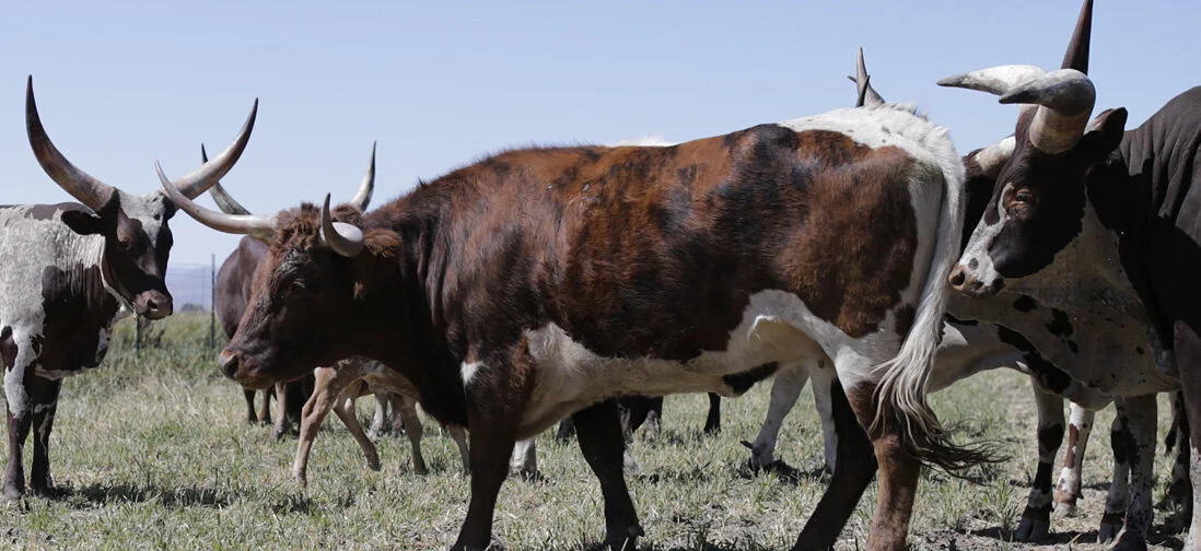 Some Things I Know Will Chill You