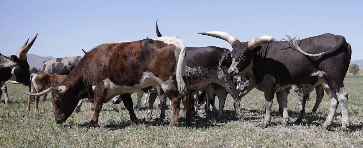 I Lost Count At Three