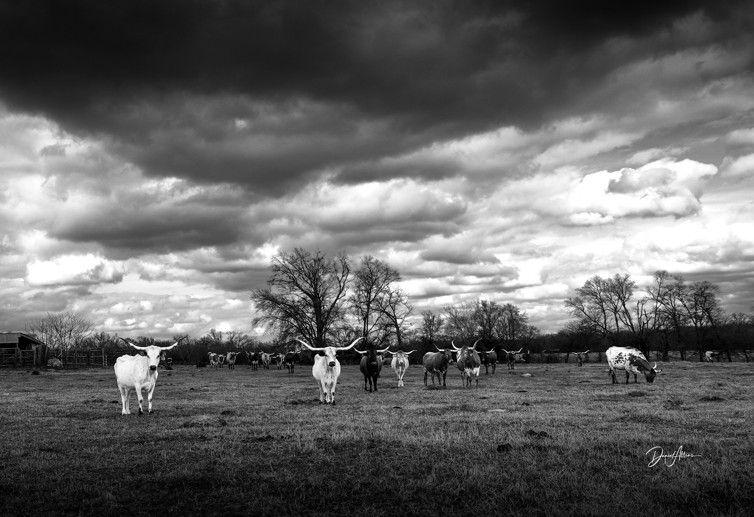 Fall Down on Your Knees