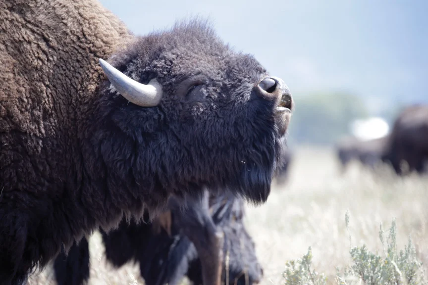 Sunday Morning and I Am Alone