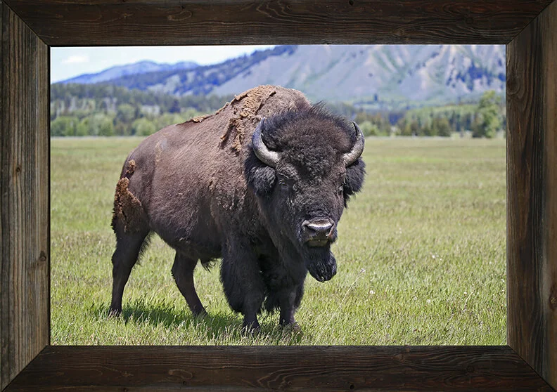 Wait to Call Me Another Day