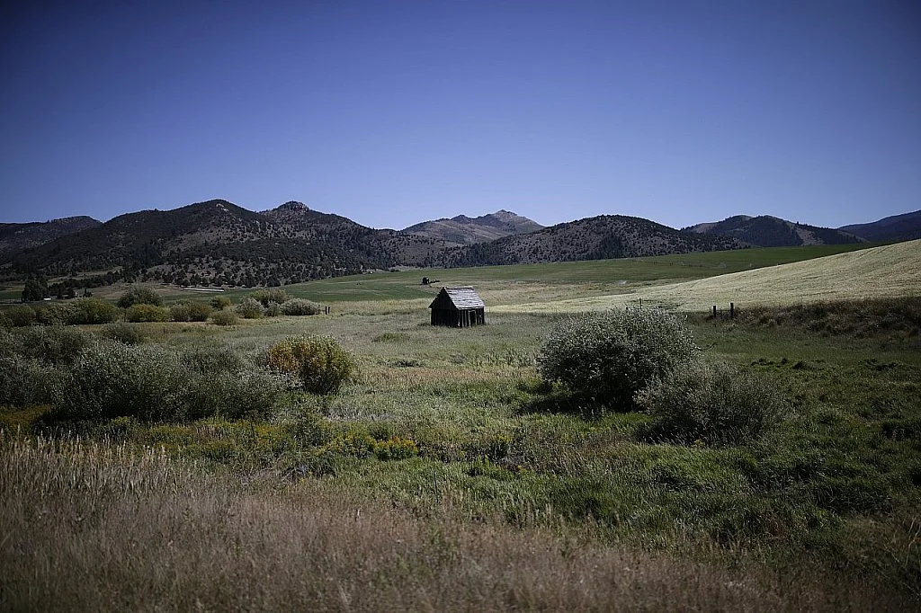 The Song of God Discloses