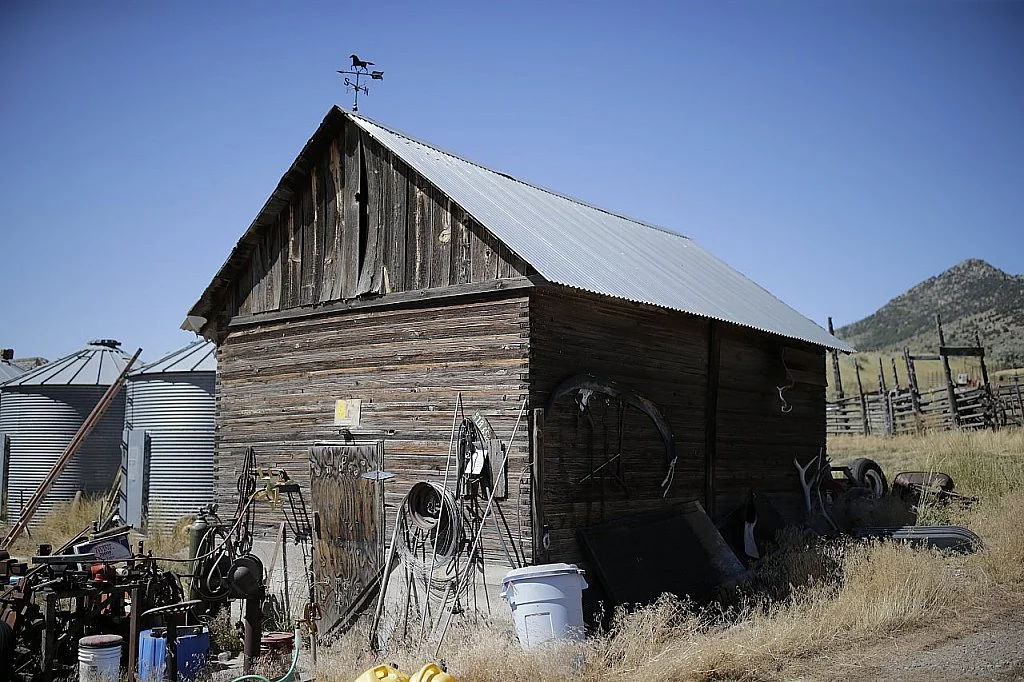 He Never Left Harlan Alive