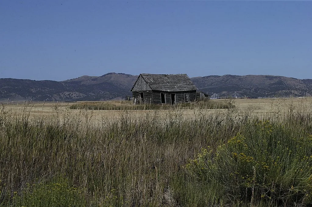 I Traced My Bloodline