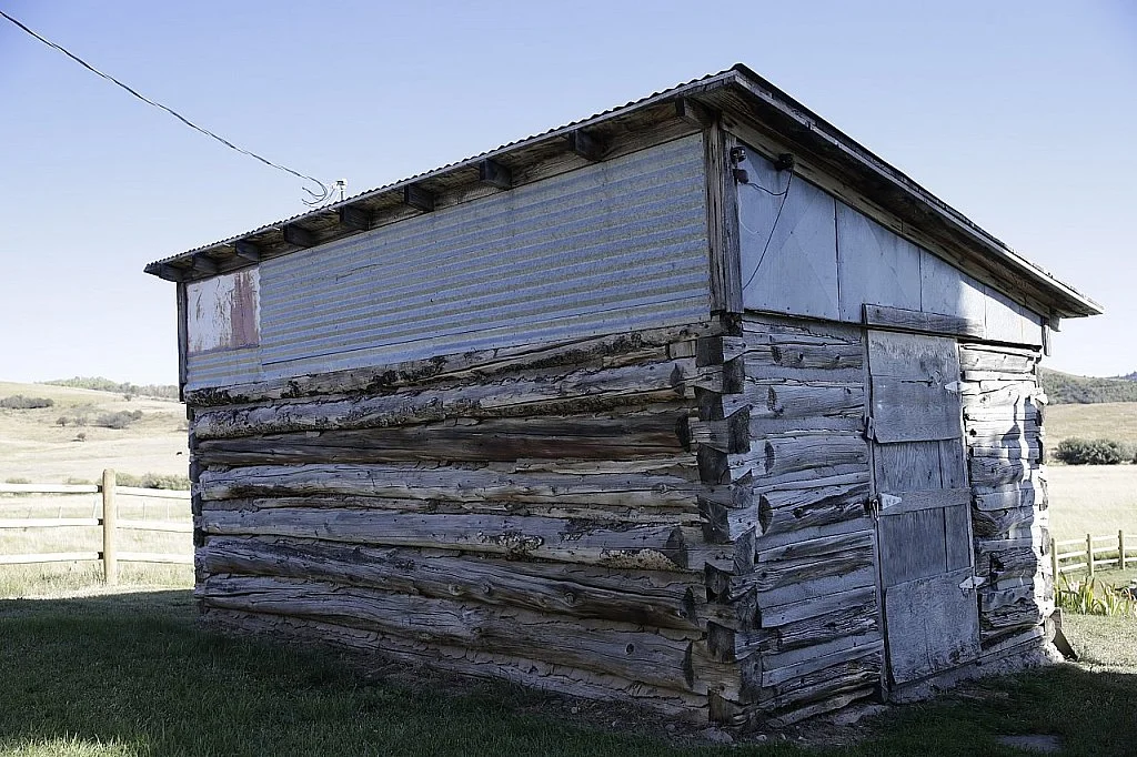 And I Guess I Never Told You