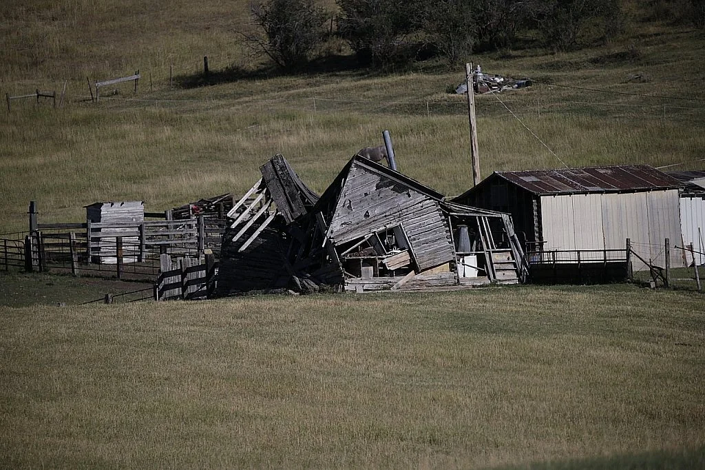 Oh Let Our Love Survive