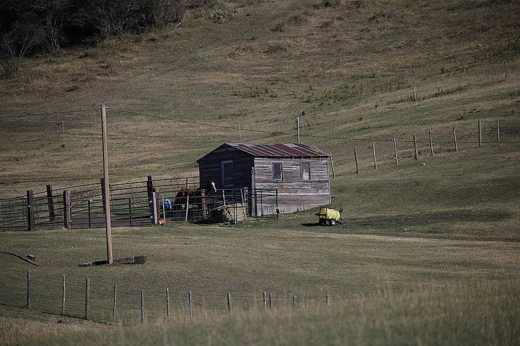 To Live and Die in Dixie