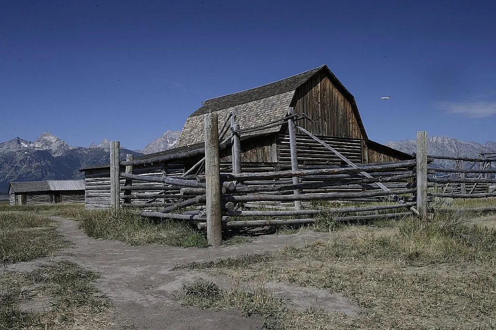 If I Made You Feel Second Best