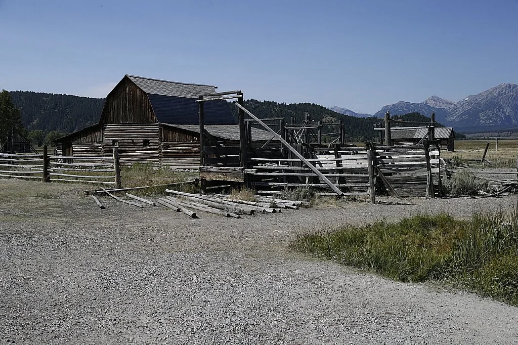 I Am So Sorry I Was Blind