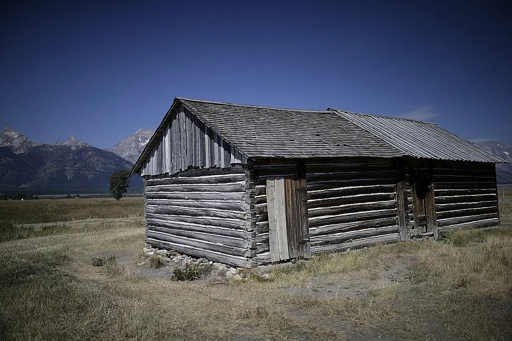 Little Things I Should Have Said and Done