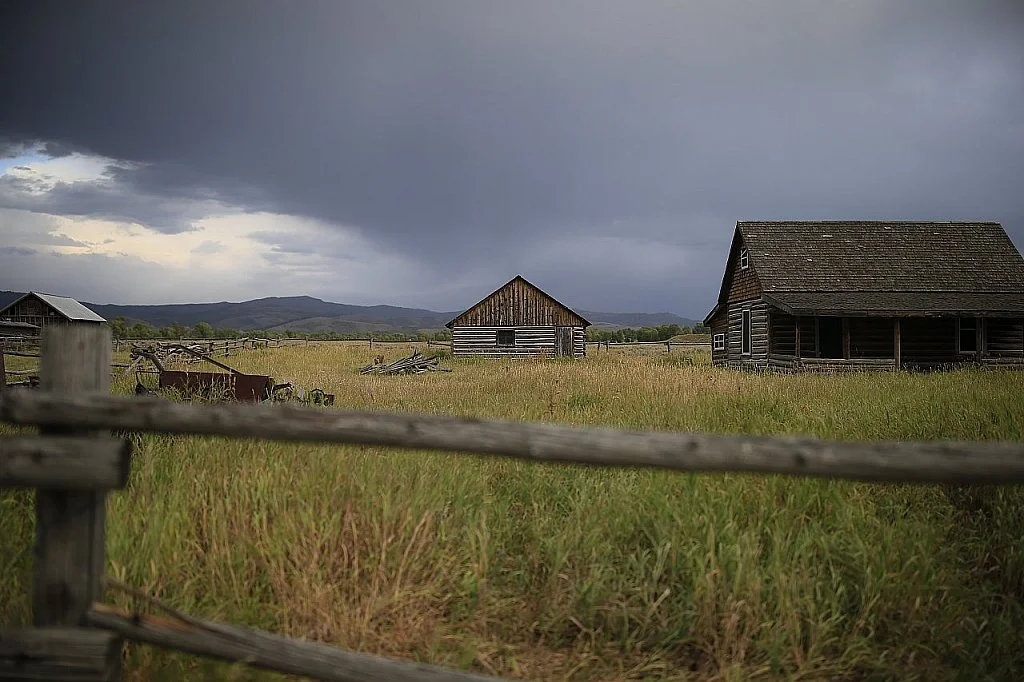 I Wish I Wish My Love Has Died