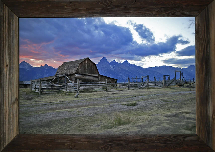 You Could Have Had Me Any Day