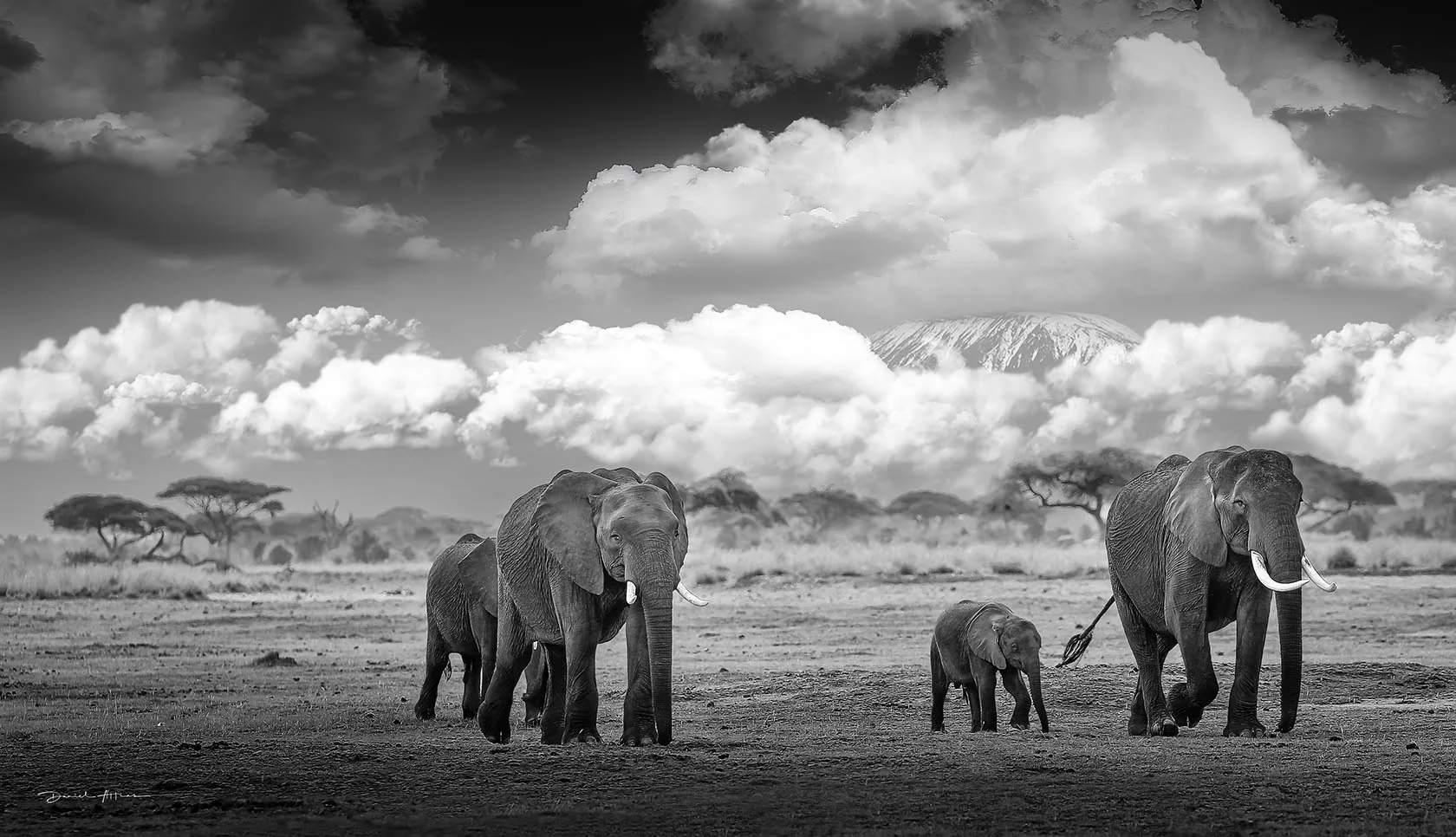  You'll Never Walk Alone M412359 