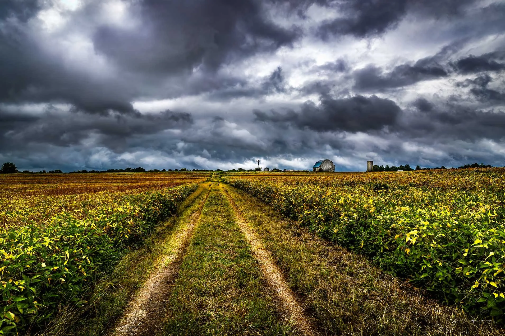  Where Are You Tonight M4I8236_ 