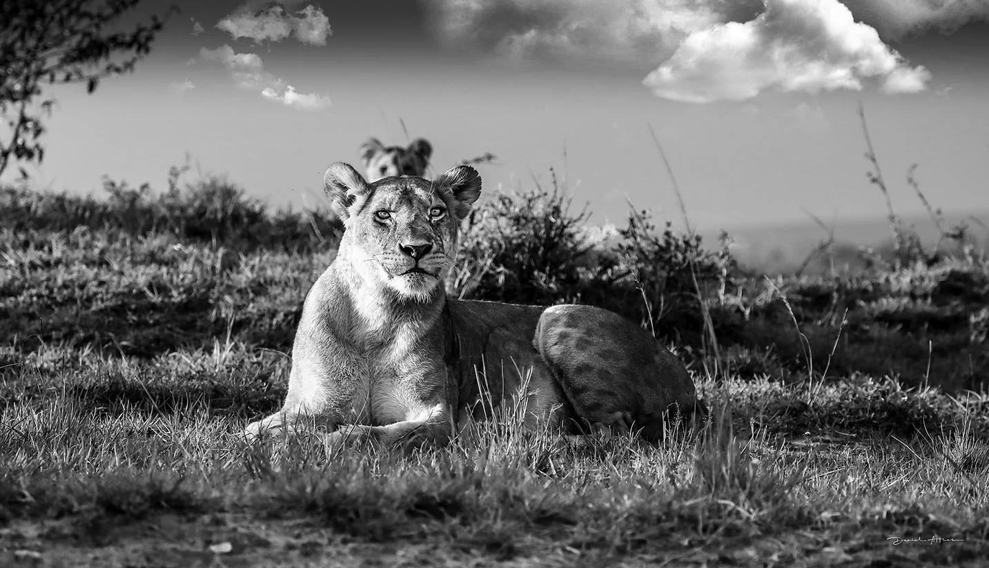  May God Keep Us Free MG_9205 