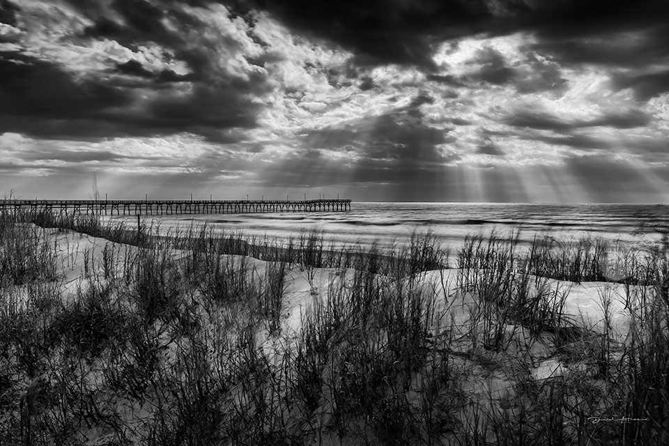  If Daddy Could See It MG_4401 