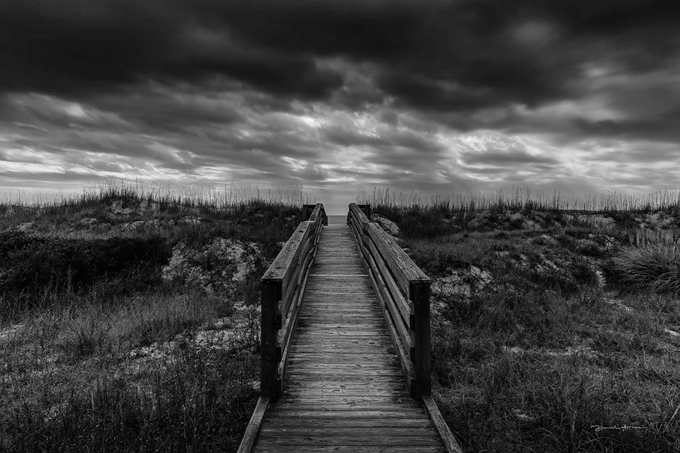  If Billy Could See It MG_4484 