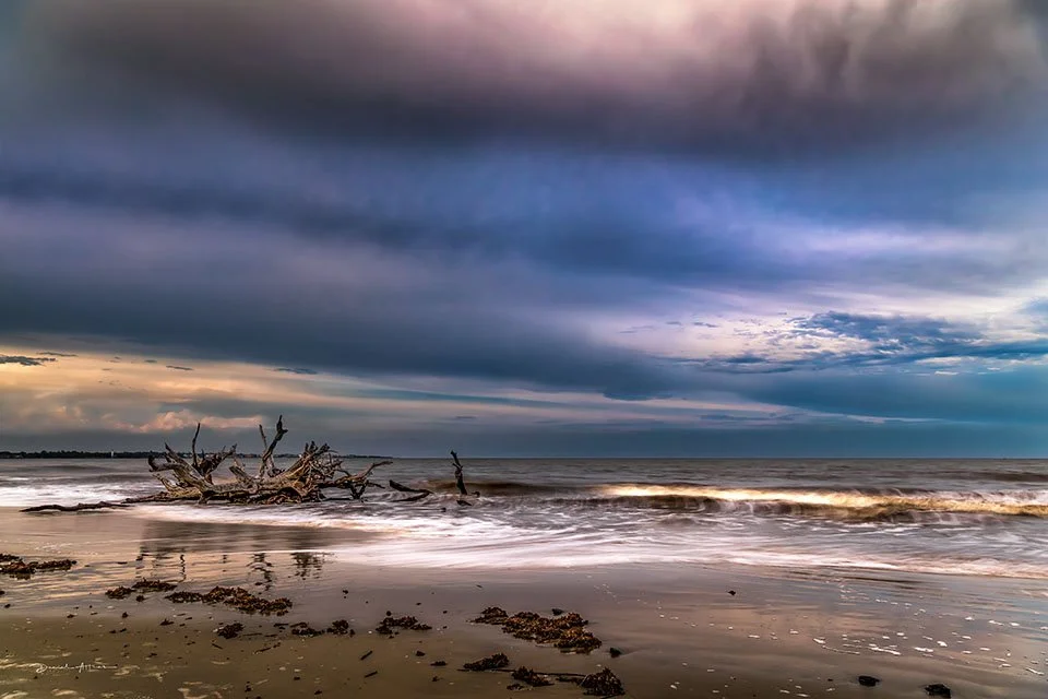  Follow Your Dreams MG_7310 