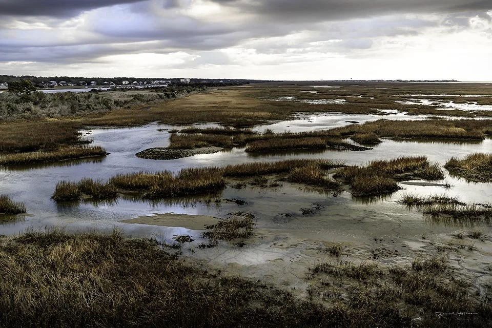  I Saw the Light M4I8795 