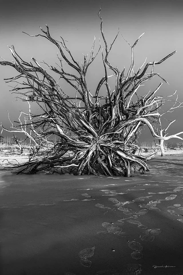  Going Where the Lonely Go MG_5305 