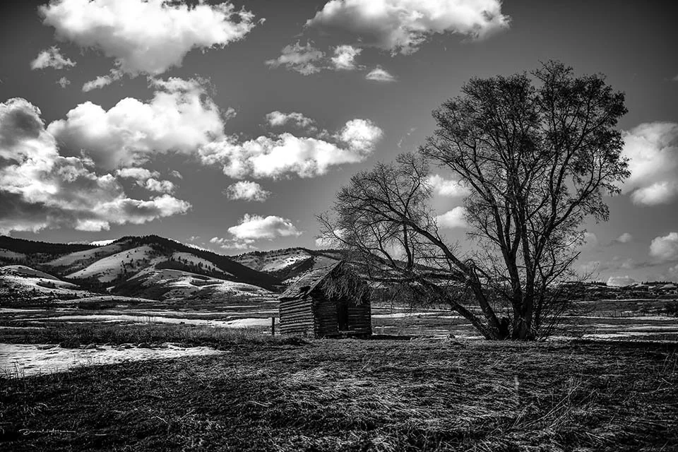  I Just Think I’ll Go Away 96R8142 