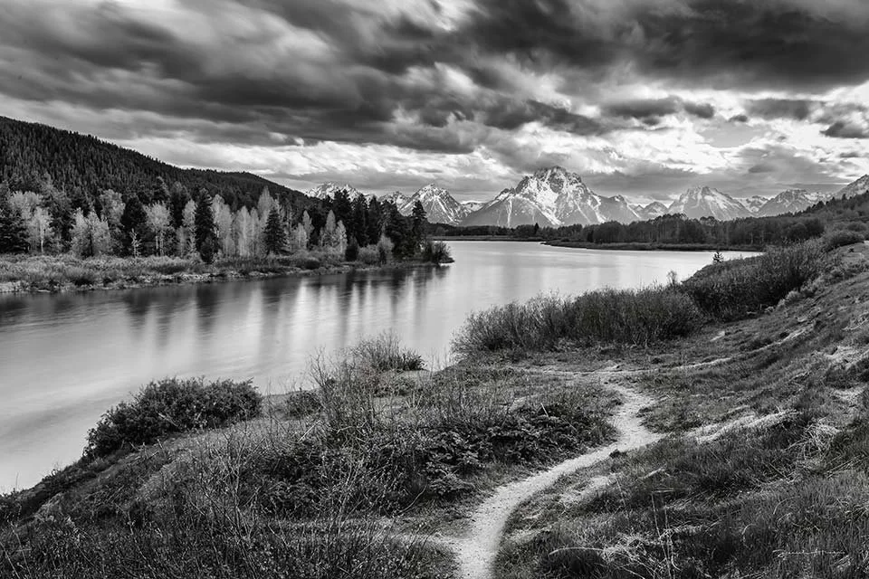  MG_2443 