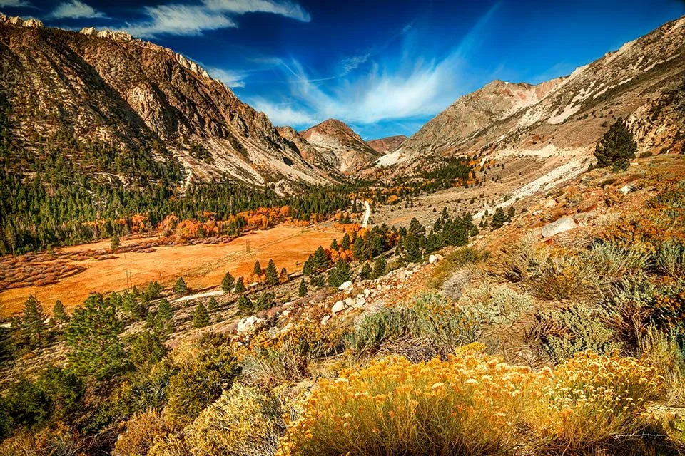  MG_0386 