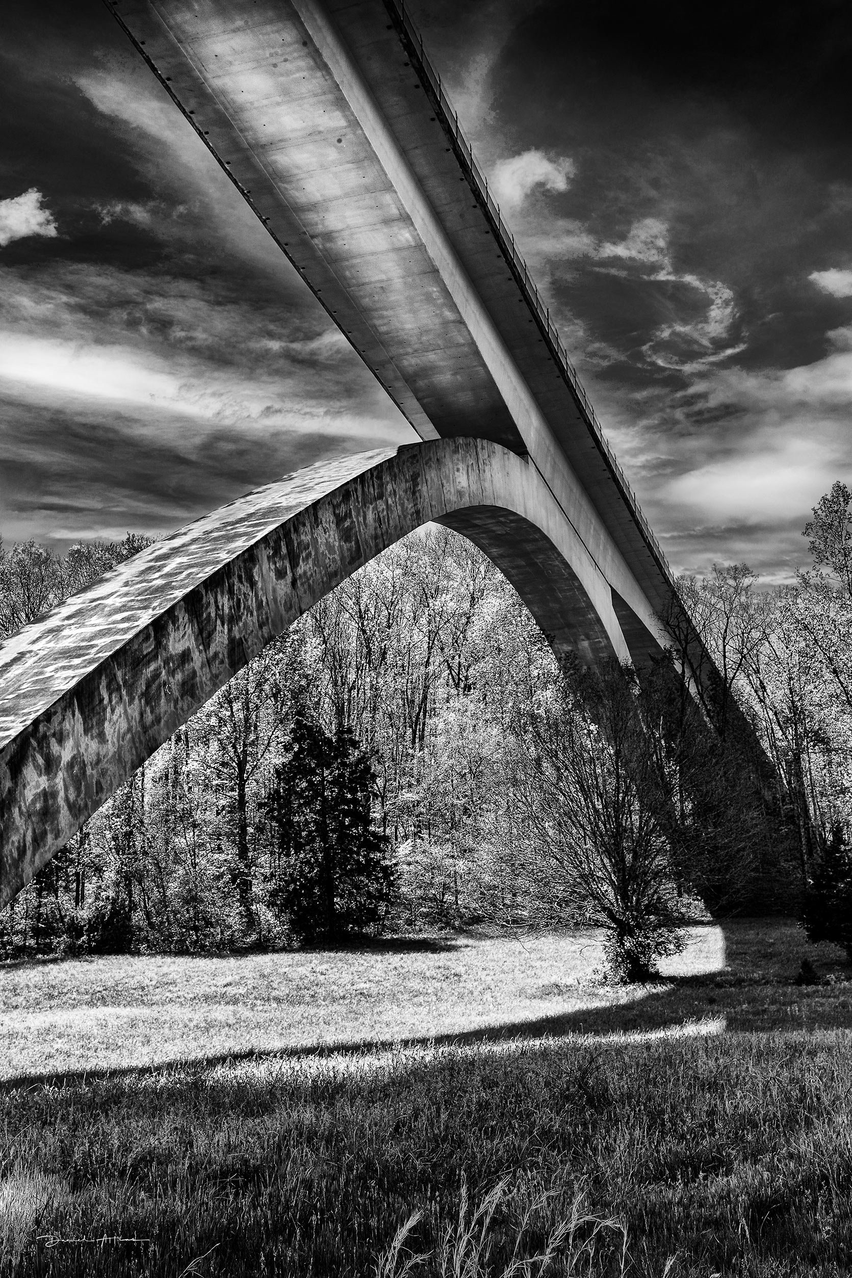 _MG_6971_web52256.jpg
