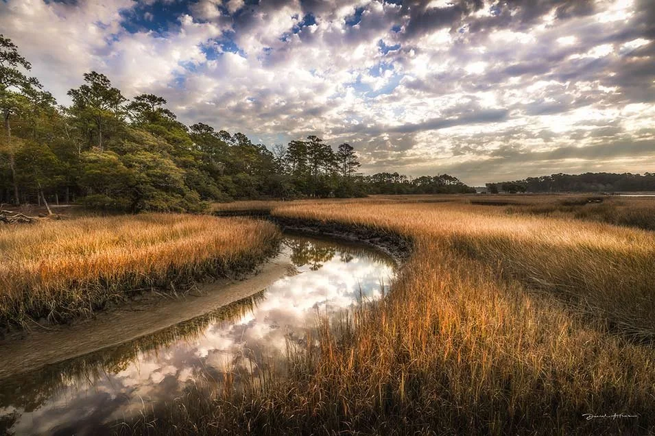 Lonesome River