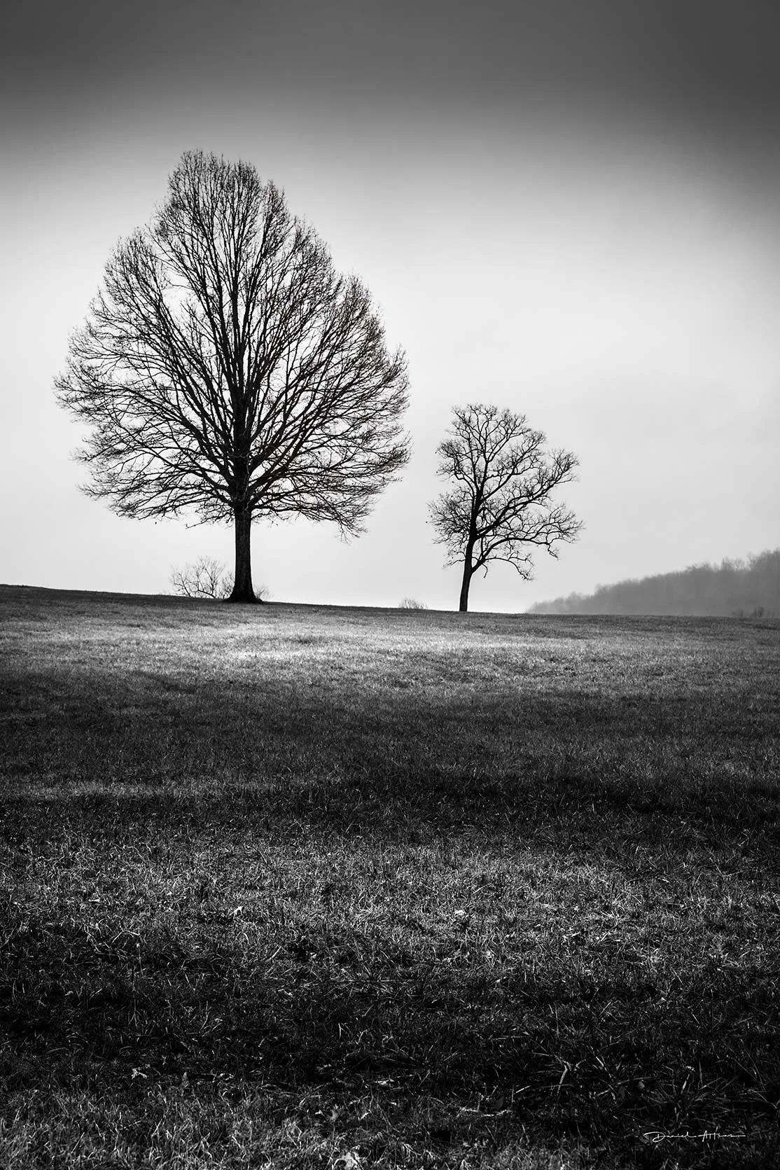  MG_3846 