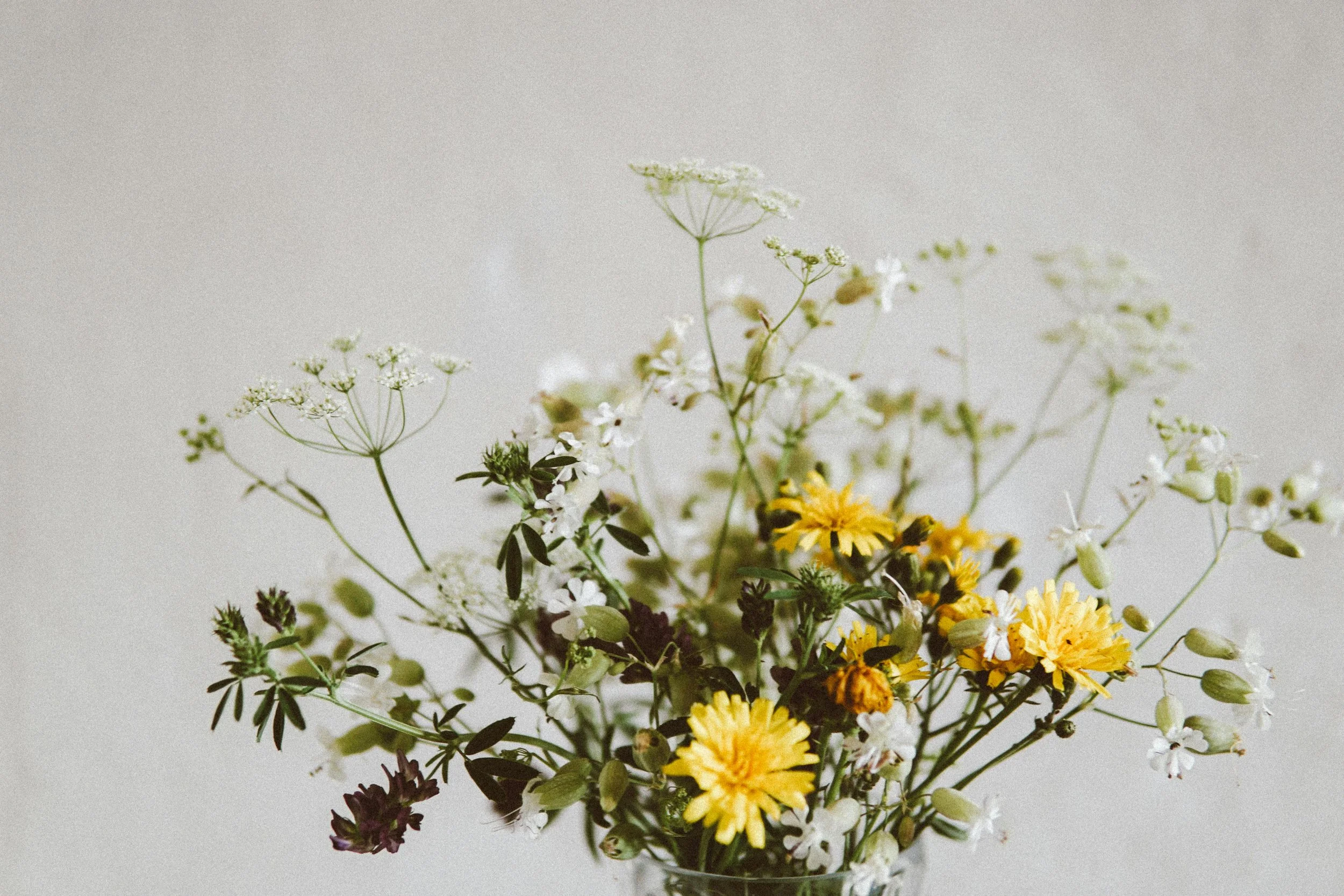 Learn more about us at Petals of Light Oklahoma