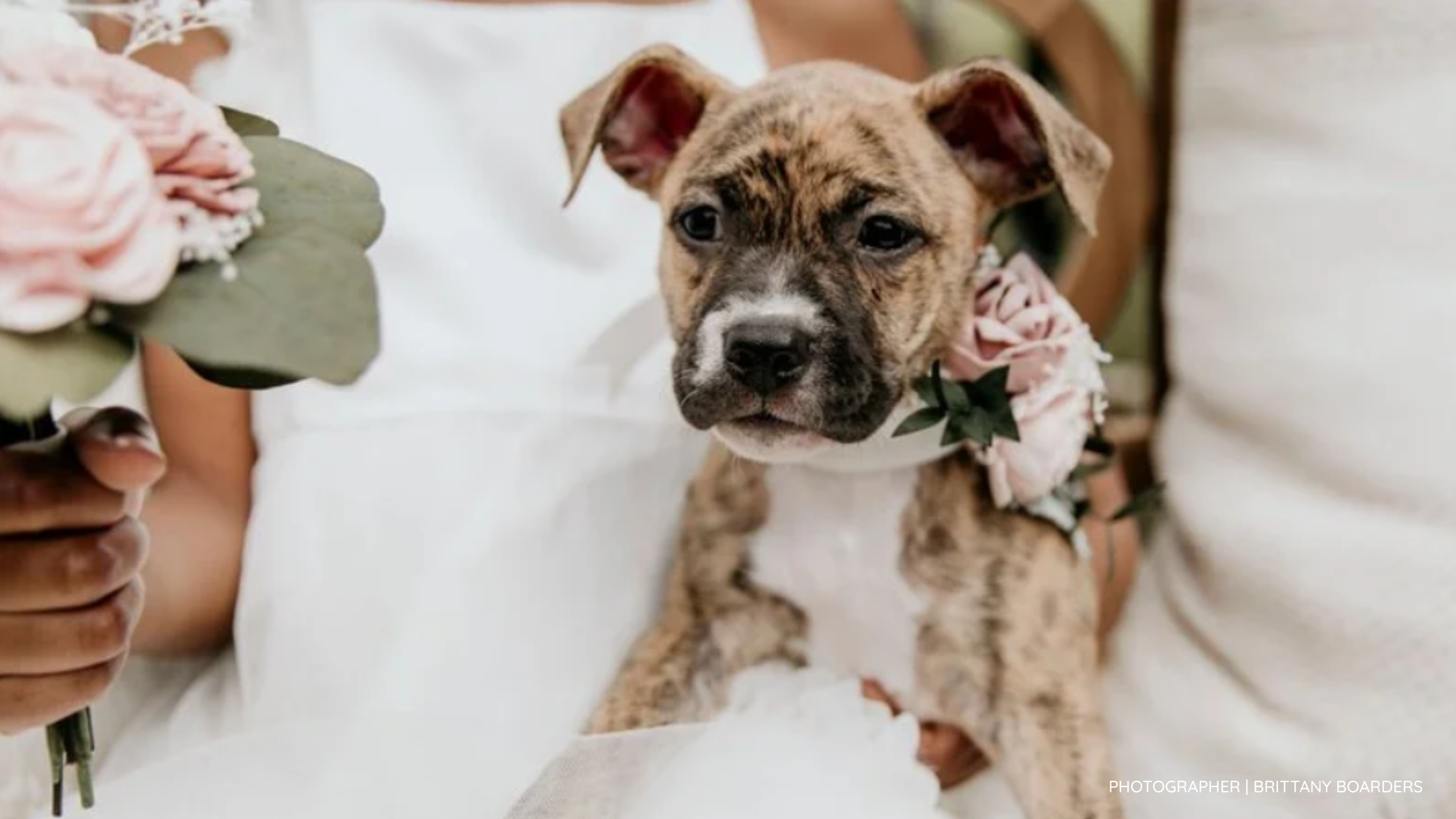 Creative Wedding Ideas That Give Back