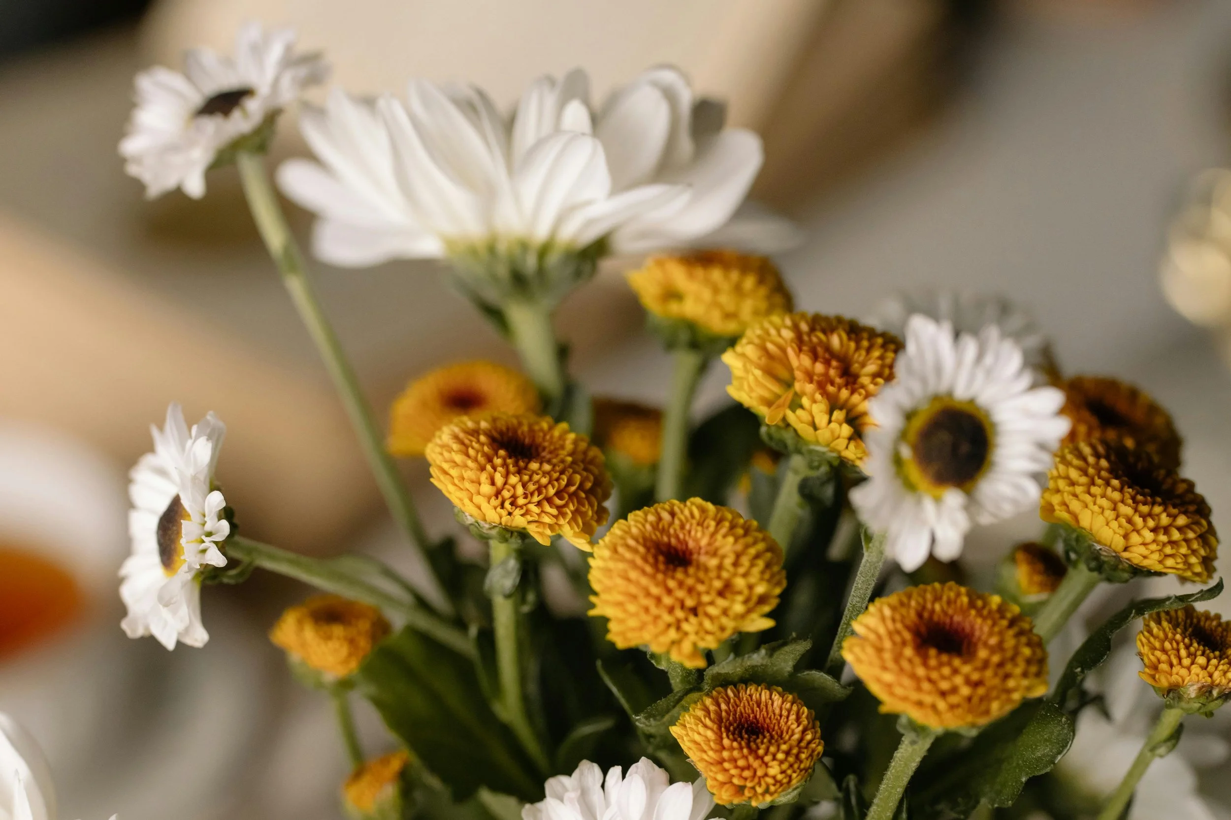 Every arrangement delivered finds its way to someone whose day it will completely change. We believe beauty belongs to everyone — regardless of circumstance or what they are walking through.