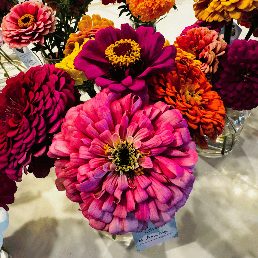 Floral arrangements donated to Petals of Light Oklahoma to be repurposed and gifted to one of many care facilities in the Oklahoma City area.