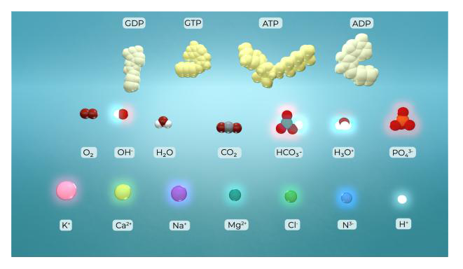 animations of elements