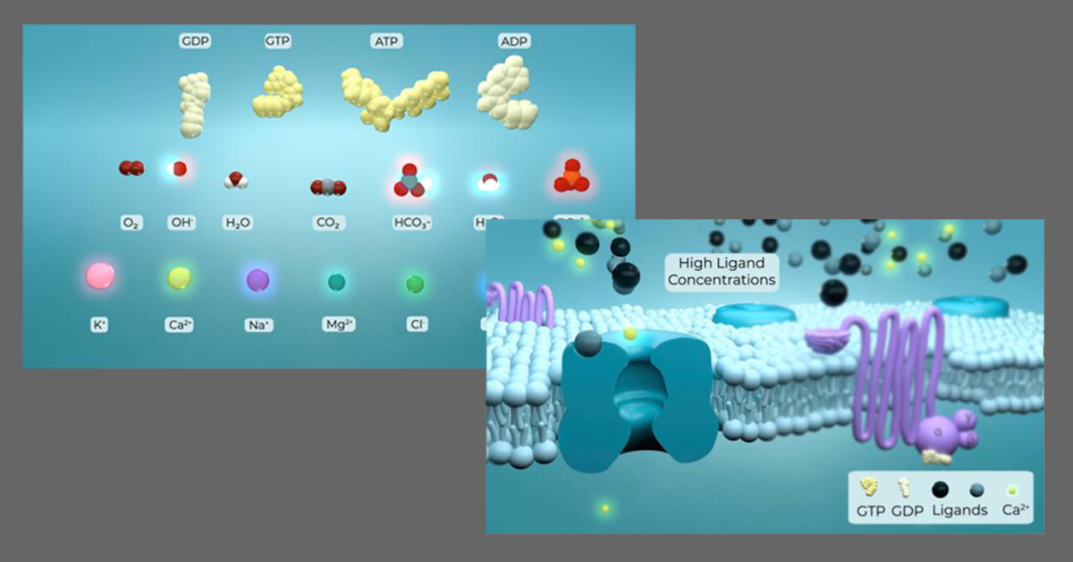 Labflow Animations: Our Commitment to Accessibility
