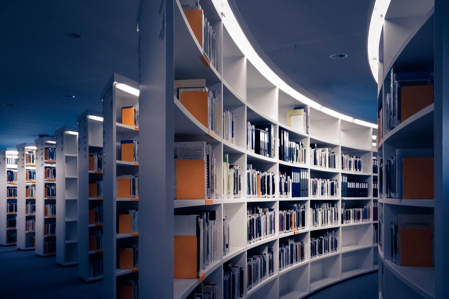 OER: Making Learning Accessible and Affordable