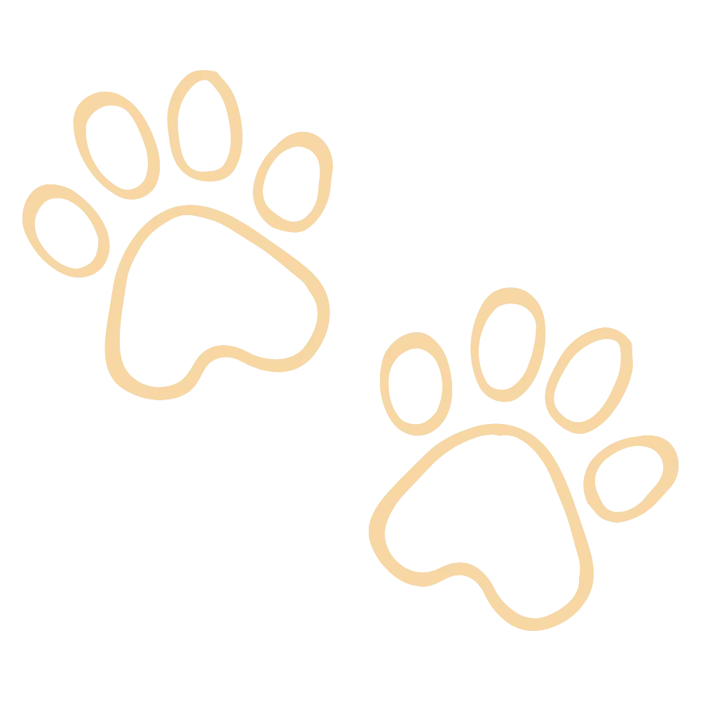 Two paw print illustrations outlined in a light beige color on a transparent background.
