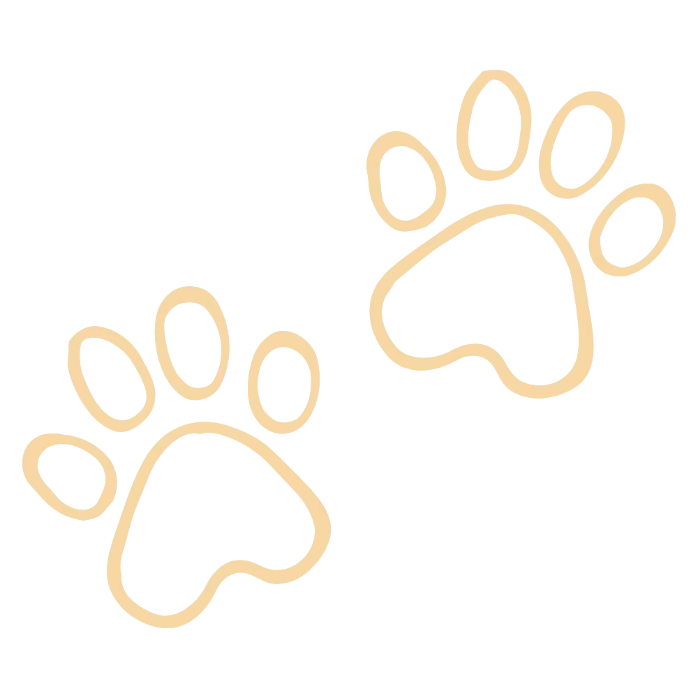 Two paw print outlines drawn with a beige pen on a transparent background.