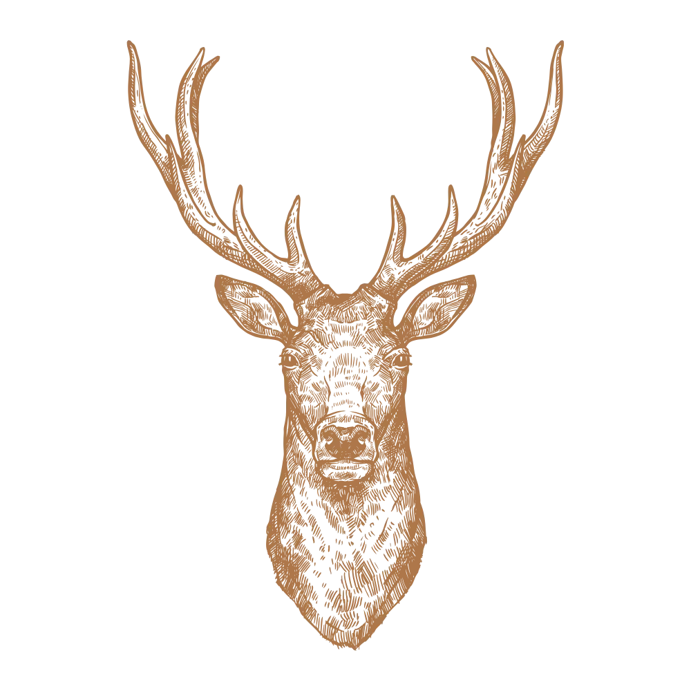 A stylized, brown deer head with antlers, facing forward.
