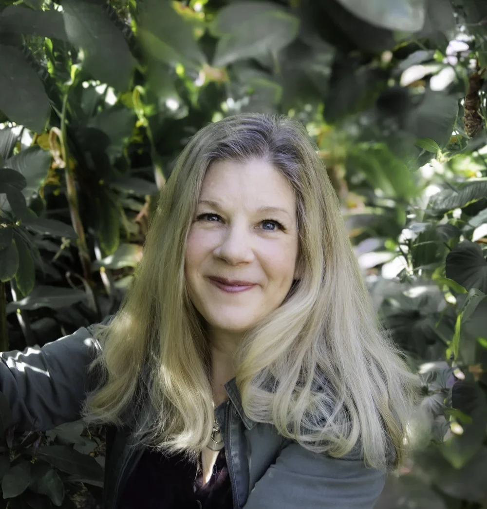 Dar Williams