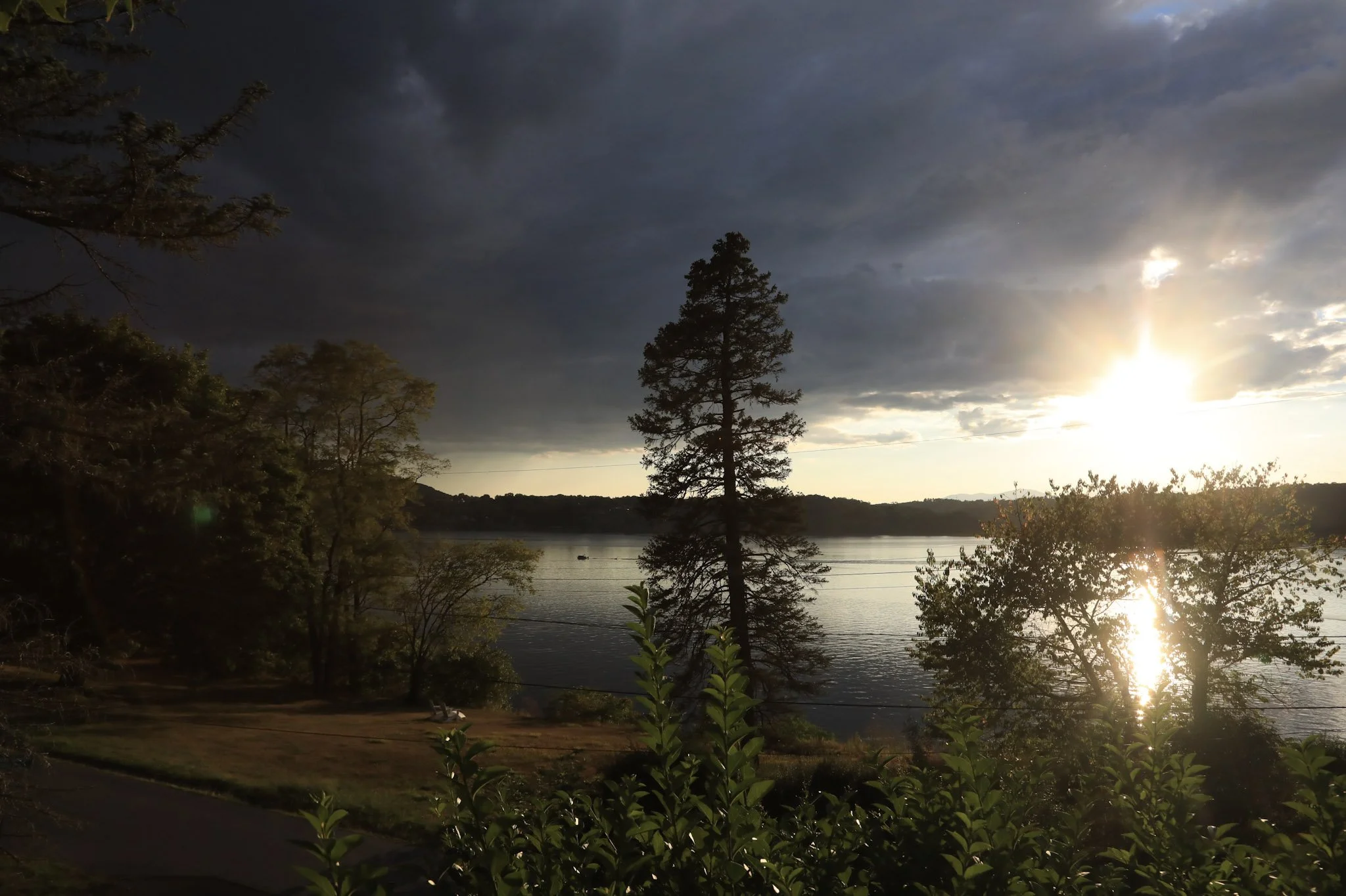 Partners for Climate Action is now The Understory