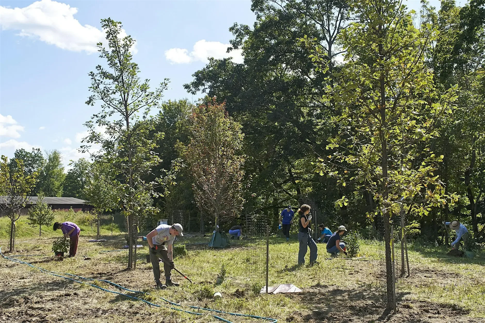 Chester Ag Center Volunteer Event: Tree Planting for Pollinators