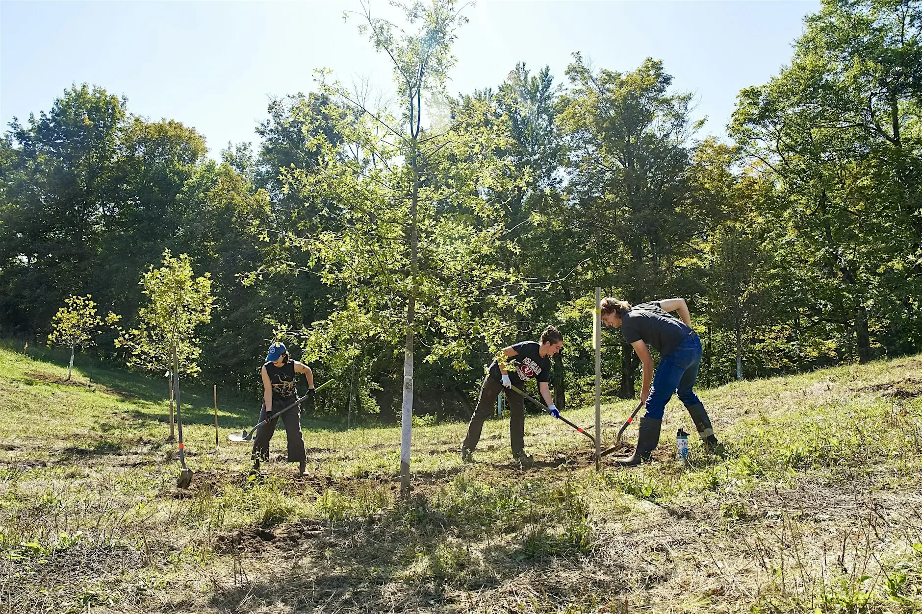 HVSC Volunteer Event: Tree Planting for Pollinators in Accord
