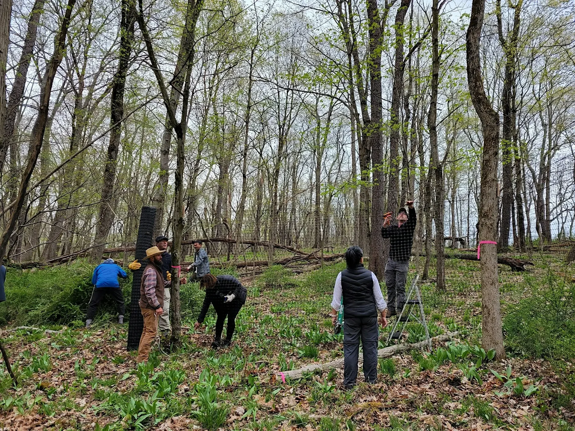 Workshop: Build a Deer Exclosure
