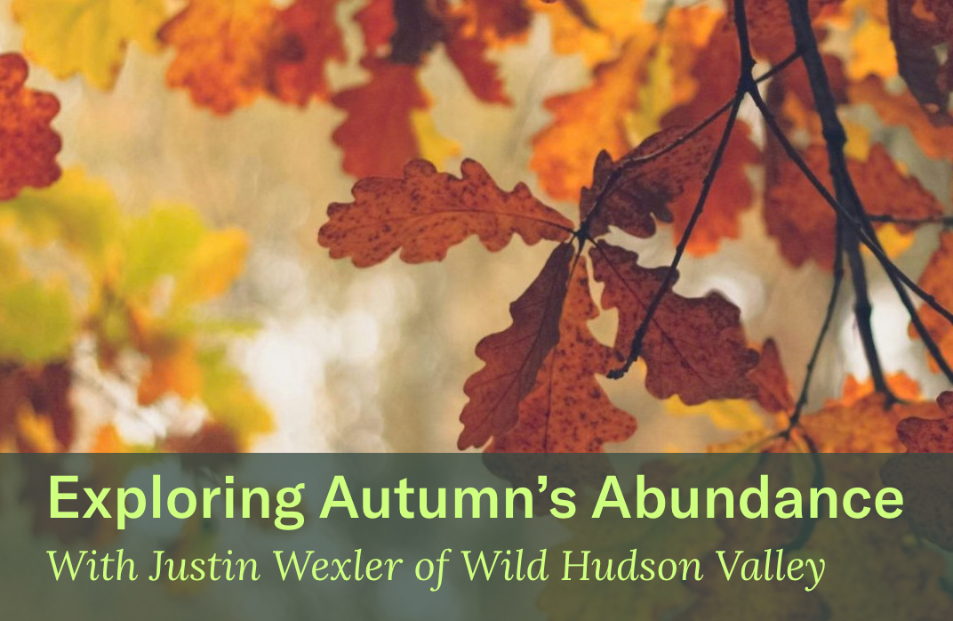 The Understory Presents: Exploring Autumn's Abundance