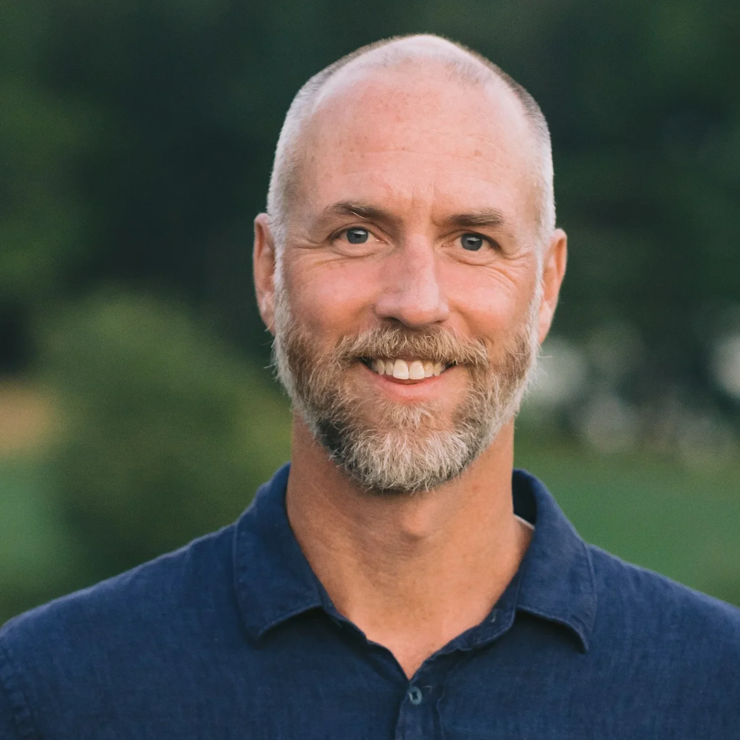 David Todd